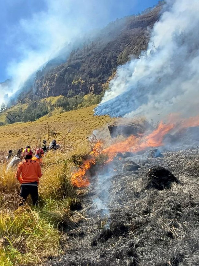 Kebakaran Hutan Bromo Meluas