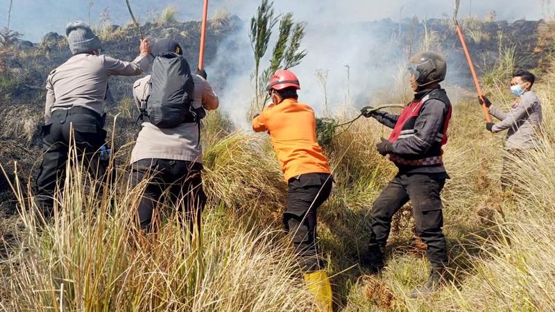 Kebakaran Hutan Bromo Meluas