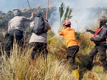 Kebakaran Bromo Belum Padam, Kemenhut Kerahkan Operasi Terpadu