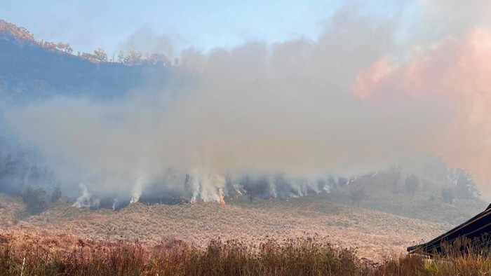 Kebakaran hutan di Bromo Tengger Semeru sudah meluas hingga Kabupaten Malang.