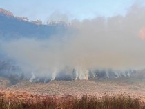 Titik Api Kebakaran Hutan Bromo Sudah Sampai di Kabupaten Malang