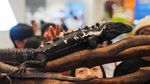 Kura-kura Raksasa Curi Perhatian di Pameran Satwa Eksotis Hong Kong