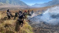 Kebakaran Bromo Tembus 127 Hektare, Menjalar ke Wisata B29