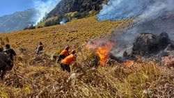 Video: Kebakaran di Bromo Mencapai Hampir 8 Hektare, Pemadaman Terkendala Medan