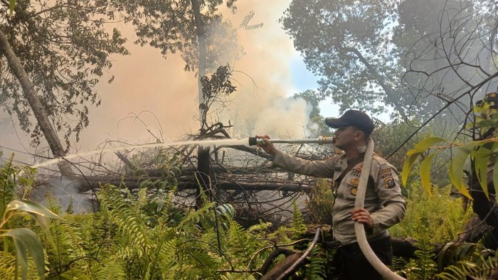 Polisi, TNI, BPBD, hingga Manggala Agni turun memadamkan karhutla di Kerumutan, Pelalawan, Rabu (5/8/2026).