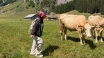 Serunya Anggi Rantika Istri Oki Rengga Hiking di Pegunungan Alpstein Swiss