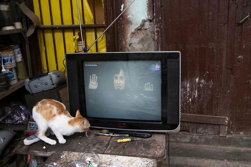 Edge Street Photography Awards 2026
