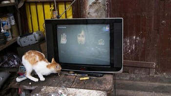 Pemenang Penghargaan di Putaran Musim Panas 2026.  Fotografer: Ivan Orbegoso Foto: via Boredpanda