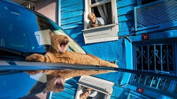 Pemenang Penghargaan di Putaran Musim Semi 2026. Fotografer: Pınar Ergül. Lokasi: Istanbul Foto: via Borepanda