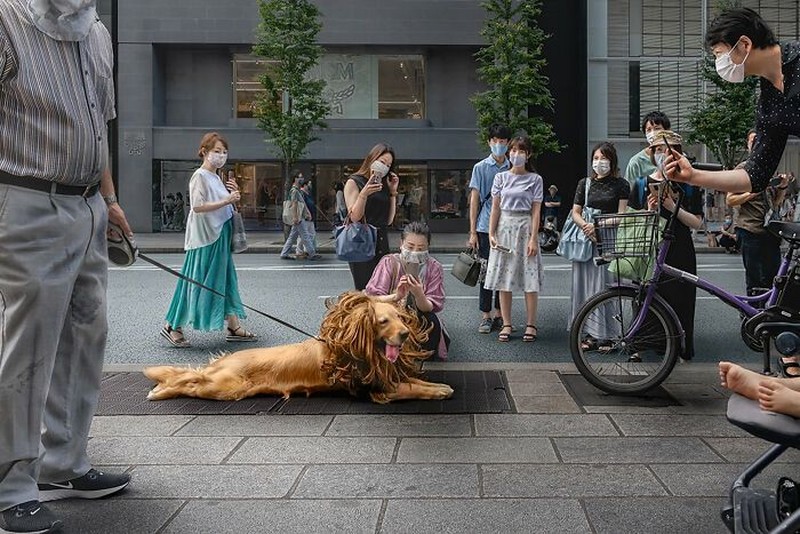 Edge Street Photography Awards 2026
