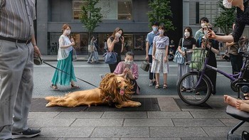 Penghargaan Khusus di Babak Musim Panas 2026. Fotografer: Kantaya. Lokasi: Jepang Foto: via Borepanda