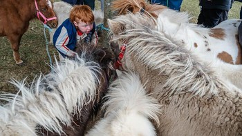 Pemenang Penghargaan di Babak Musim Panas 2026. Fotografer: Pamela Brady. Lokasi: Galway, Irlandia Foto: via Borepanda