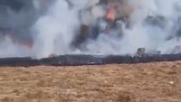 Usai Kebakaran di Alun-alun Suryakencana, Semua Jalur Pendakian Gunung Gede Ditutup