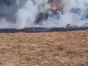 Alun-alun Suryakencana Gunung Gede Sempat Terbakar, Kini Api Padam