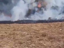 Video Kebakaran di Suryakencana Gunung Gede, Kini Api Sudah Padam