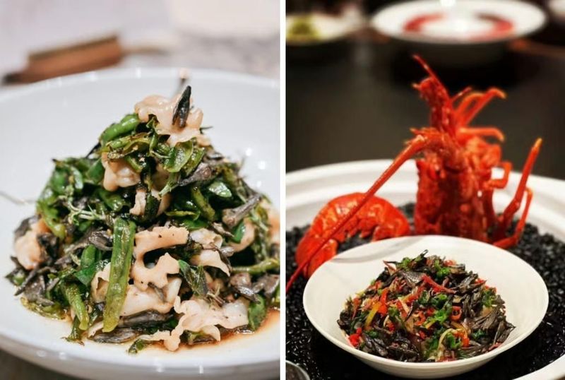 Jamur liar harga Rp 19 juta per kilogram.