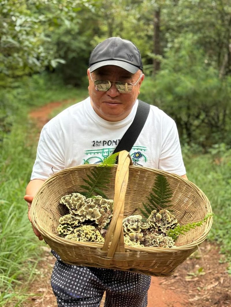 Jamur liar harga Rp 19 juta per kilogram.