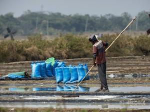 Cuaca Cirebon, Kamis 27 Agustus 2026: Cerah