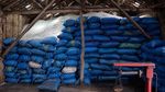 Kemarau Panjang Dongkrak Panen Garam Petani Cirebon