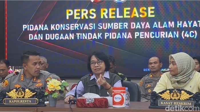 Kepala BKSDA Kalbar Murlan Dameria Pane.