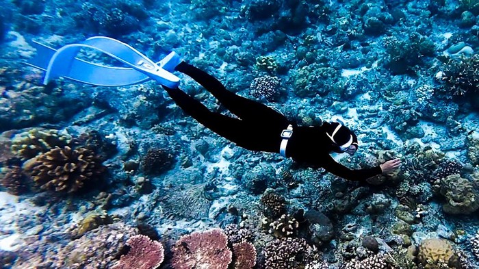 Komunitas Freedivers saat melakukan renang bebas di Perairan Maratua. (Freedivers Tarakan)