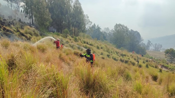 Penanganan kebakaran di Gunung Bromo