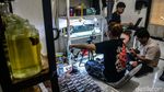 Penjual Ikan Cupang Andalkan Live Streaming untuk Dongkrak Penjualan