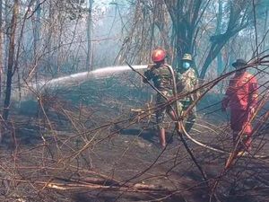 Kebakaran Hutan Lindung di Gunung Soputan Tak Kunjung Padam