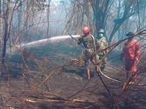 Kebakaran Hutan Lindung di Gunung Soputan Tak Kunjung Padam