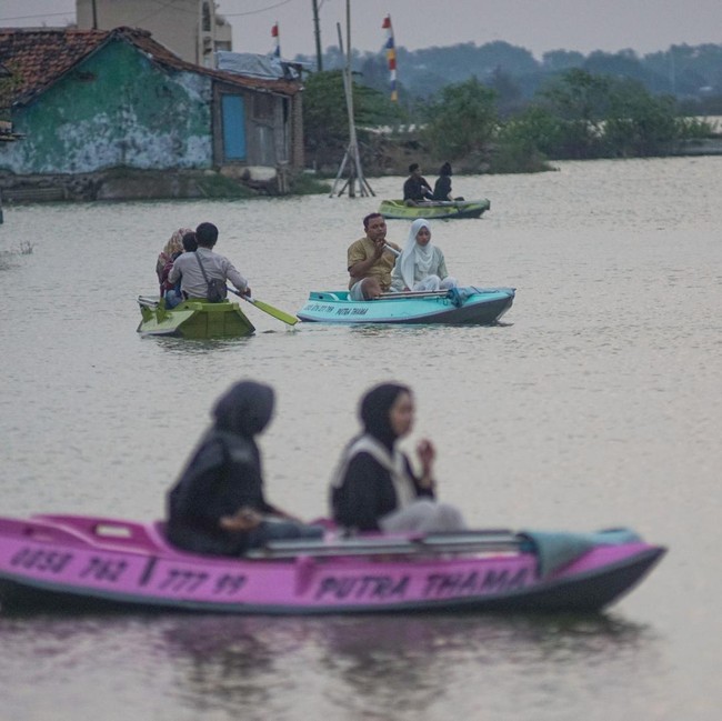Potret Sawah Terendam Rob Disulap Menjadi Wisata Kano