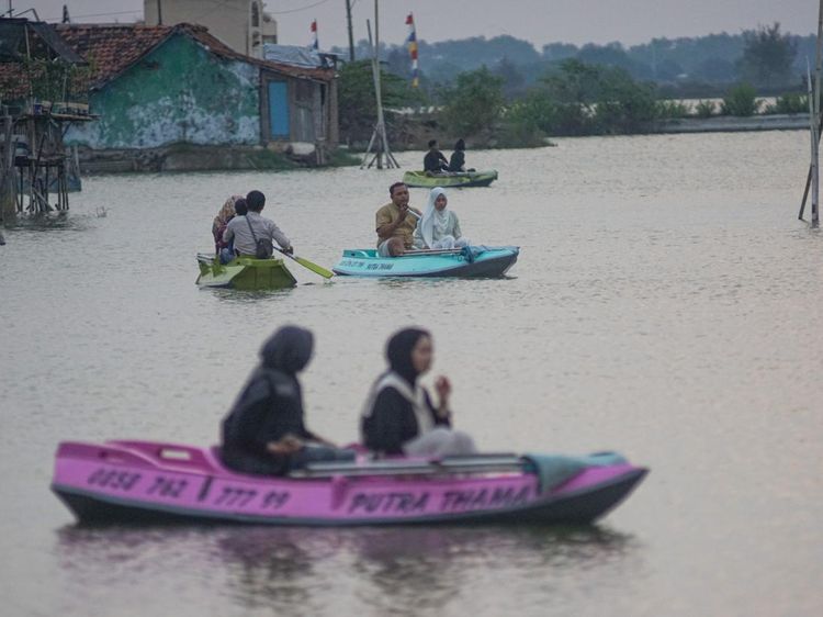 Potret Sawah Terendam Rob Disulap Menjadi Wisata Kano