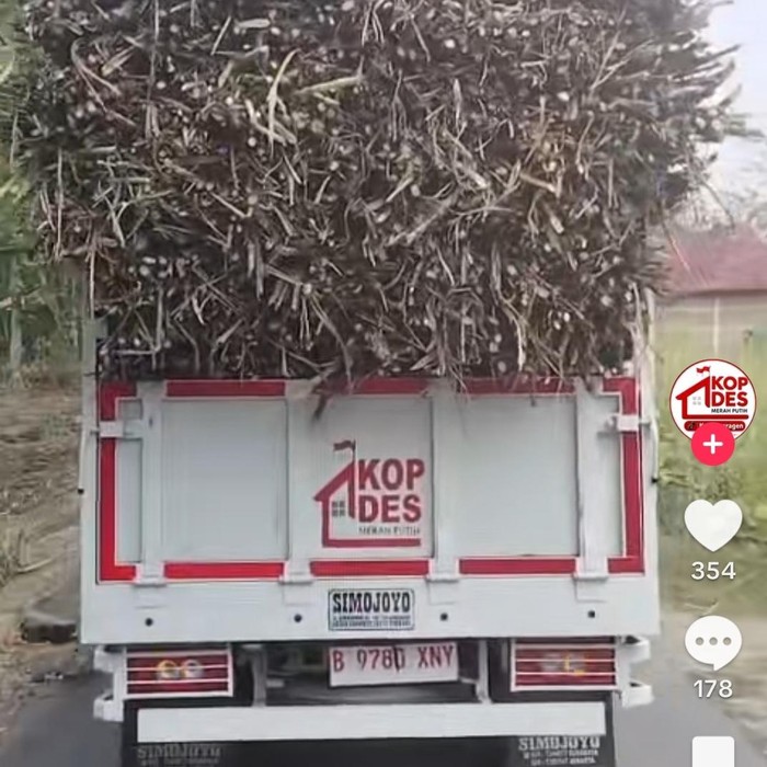 Viral Truk KDMP di Sragen bawa tebu.  Foto diunggah Kamis (6/8/2026).