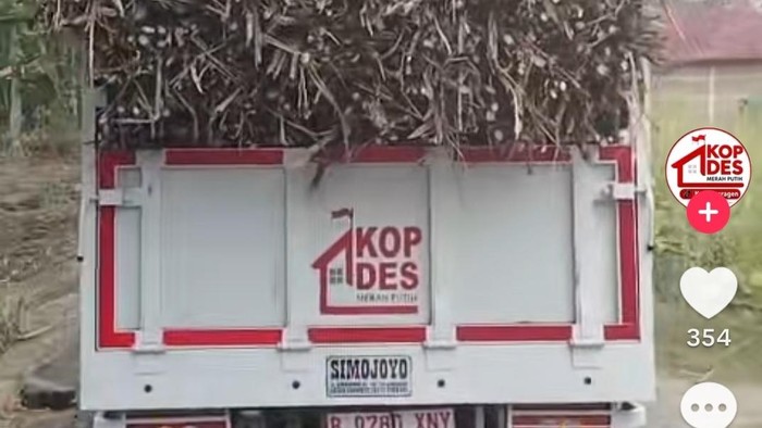 Viral Truk KDMP di Sragen bawa tebu.  Foto diunggah Kamis (6/8/2026).