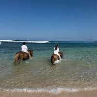 Tak hanya menunggang kuda di tepi pantai, Thariq dan Aaliyah juga tampak membawa kuda mereka ke pinggir laut. MasyaAllah papa ibunya Arash, tulis salah satu komentar. Semoga nular bahagia nya, komentar lain. Foto: Instagram/@aaliyah.massaid