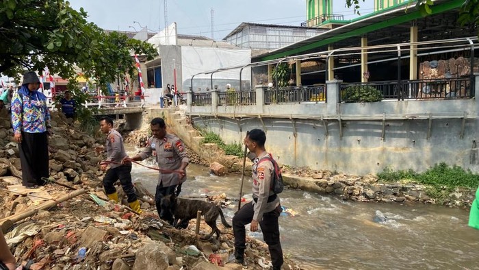 Anjing pelacak (K9) Dasa dikerahkan mencari kaki pria berinisial K (51), korban mutilasi di Depok (Devi/detikcom)