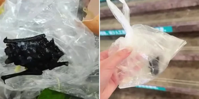 Diduga Gegara Kelelawar di Makanan Restoran, Bocah Ini Masuk RS