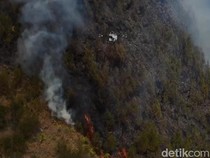 Ini Dugaan Sumber Kebakaran 176 Hektare Lahan di Gunung Bromo