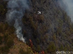 Ini Dugaan Sumber Kebakaran 176 Hektare Lahan di Gunung Bromo