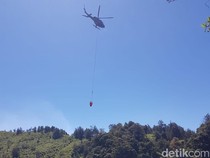 Api Kebakaran Bromo Mulai Menjalar ke Wisata B29