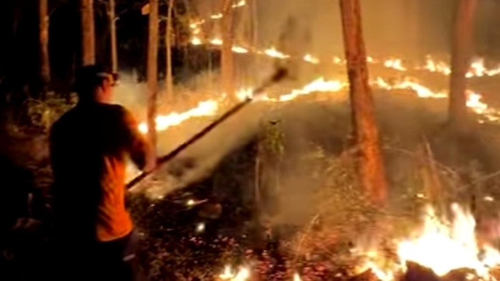 Kebakaran hutan dan lahan di Trenggalek