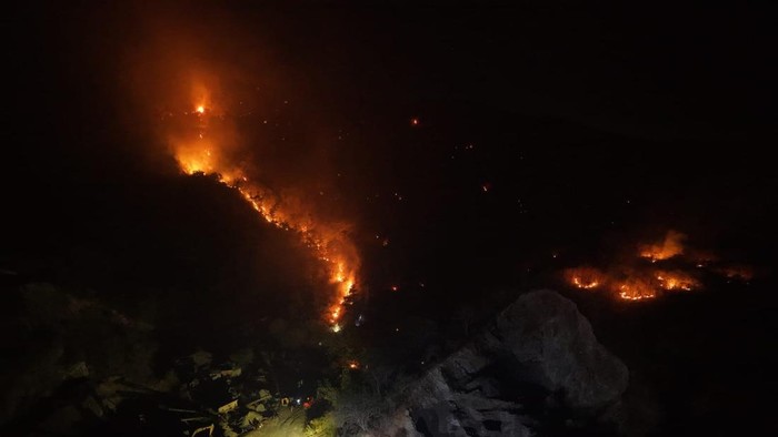 Kebakaran hutan dan lahan (karhutla) melanda Desa Toipan, Kecamatan Pagimana, Kabupaten Banggai, Sulawesi Tengah (Sulteng).