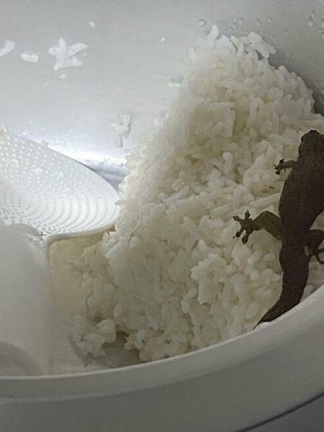 Jijik Banget! Ada Kuku hingga Silet di dalam Makanan Zonk Ini
