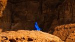 Patung Biru di Al Ula Arab Saudi yang Dituding Berhala