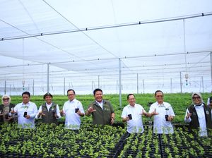 Herman Deru Dorong Penguatan Sinergi untuk Jaga Kelestarian Hutan Sumsel