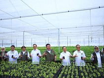 Herman Deru Dorong Penguatan Sinergi untuk Jaga Kelestarian Hutan Sumsel