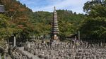 7 Lokasi Paling Angker di Kyoto, Bikin Merinding