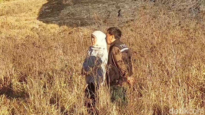 Gubernur Khofifah Indar Parawansa meninjau penanganan kebakaran Gunung Bromo