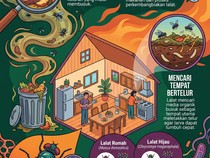 Lalat Tiba-tiba Muncul di Rumah Bisa Jadi Karena 3 Hal Ini