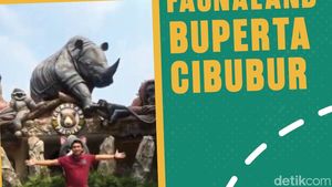 Video Jalan Yuk! Nikmati Wisata Edukasi di Faunaland Buperta Cibubur