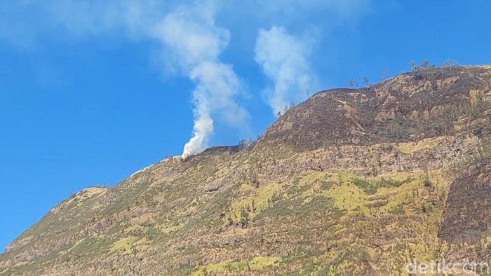 Karhutla di Gunung Bromo